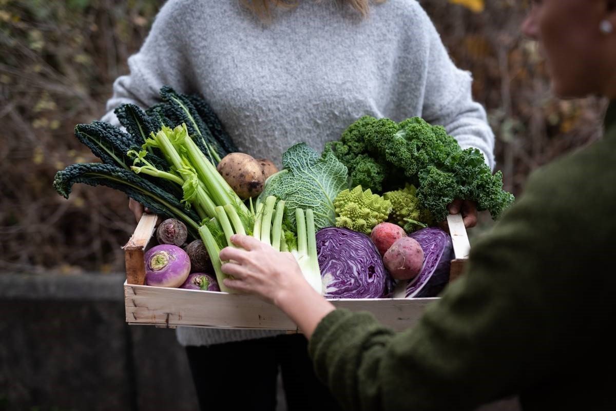 Customer takes vegetables from provided box. Picture by Fredrik Sederholm