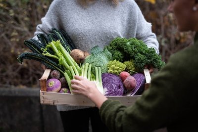 Vegetable_box2_Fredrik_Sederholm